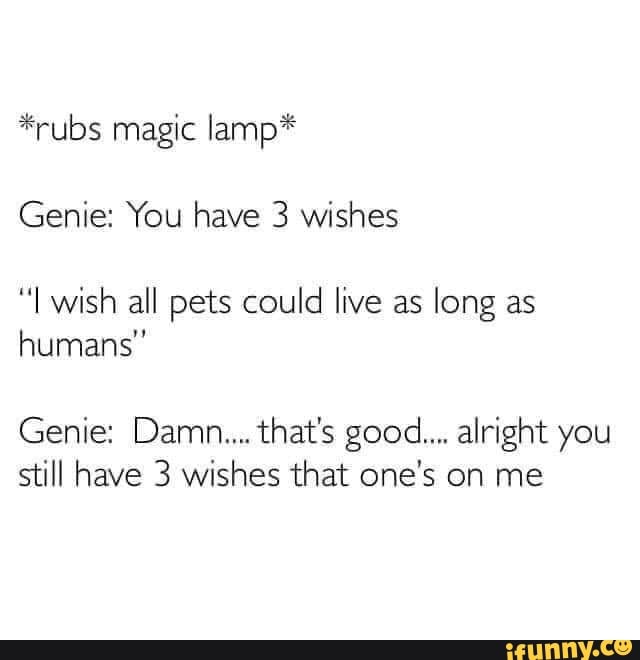 *rubs magic lamp*
Genie: You have 3 wishes
wish all pets could live as long as humans"
Genie: Damn... that's good... alright you still have 3 wishes that one's on me