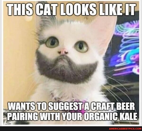 THIS GAT LOOKS LIKE IT
WANTS TO SUGGEST A CRAFT BEER PAIRING WITH YOUR ORGANIC KALE