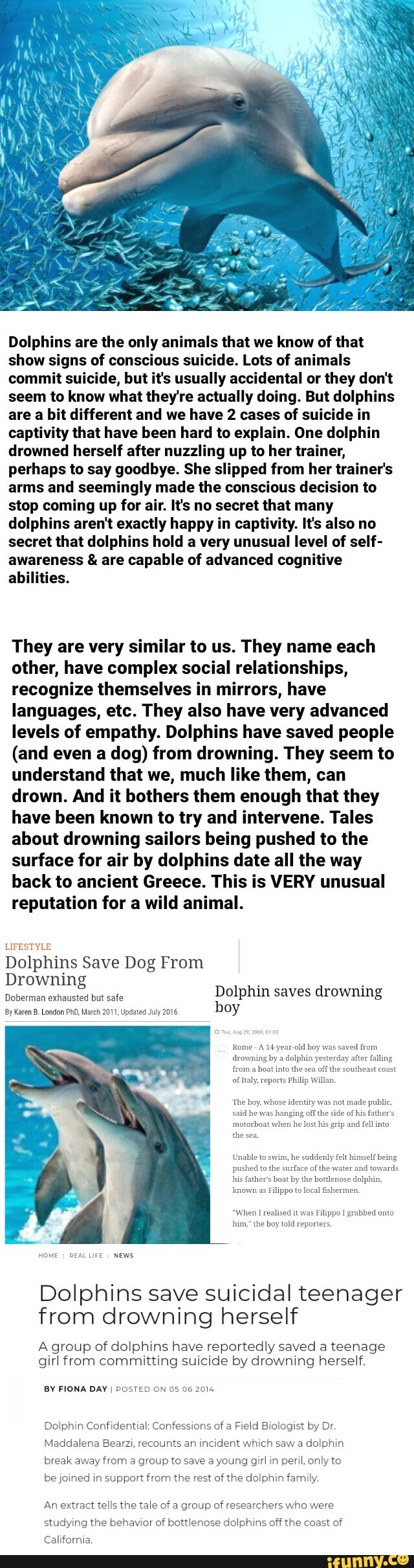 Dolphins are the only animals that we know of that
show signs of conscious suicide. Lots of animals
commit suicide, but it's usually accidental or they don't
seem to know what they're actually doing. But dolphins
are a bit different and we have 2 cases of suicide in
captivity that have been hard to explain. One dolphin
drowned herself after nuzzling up to her trainer,
perhaps to say goodbye. She slipped from her trainer's
arms and seemingly made the conscious decision to
stop coming up for air. It's no secret that many
dolphins aren't exactly happy in captivity. It's also no
secret that dolphins hold a very unusual level of self-
awareness € are capable of advanced cognitive
abilities.
They are very similar to us. They name each
other, have complex social relationships,
recognize themselves in mirrors, have
languages, etc. They also have very advanced
levels of empathy. Dolphins have saved people
(and even a dog) from drowning. They seem to
understand that we, much like them, can
drown. And it bothers them enough that they
have been known to try and intervene. Tales