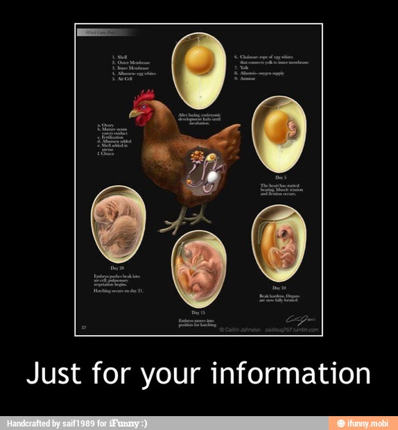 Just for your information - Just for your information