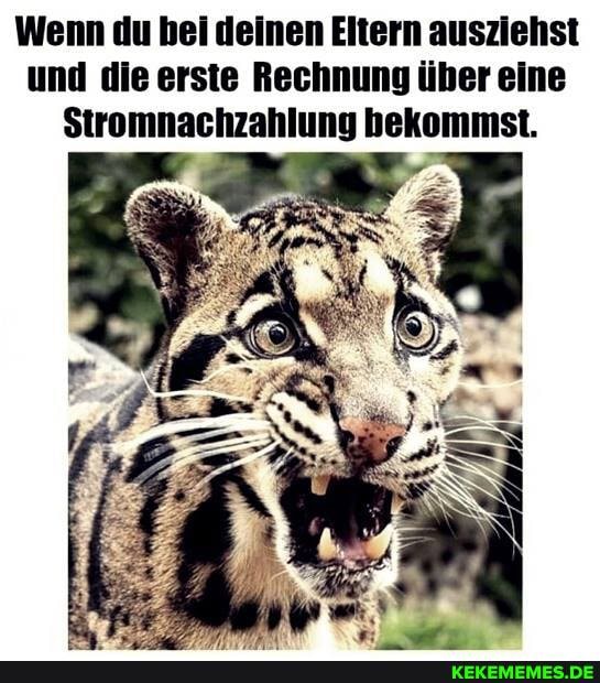Wenn du bei deinen Eltern ausziehst und die erste Rechnung über eine
Stromnachzahlung bekommst.