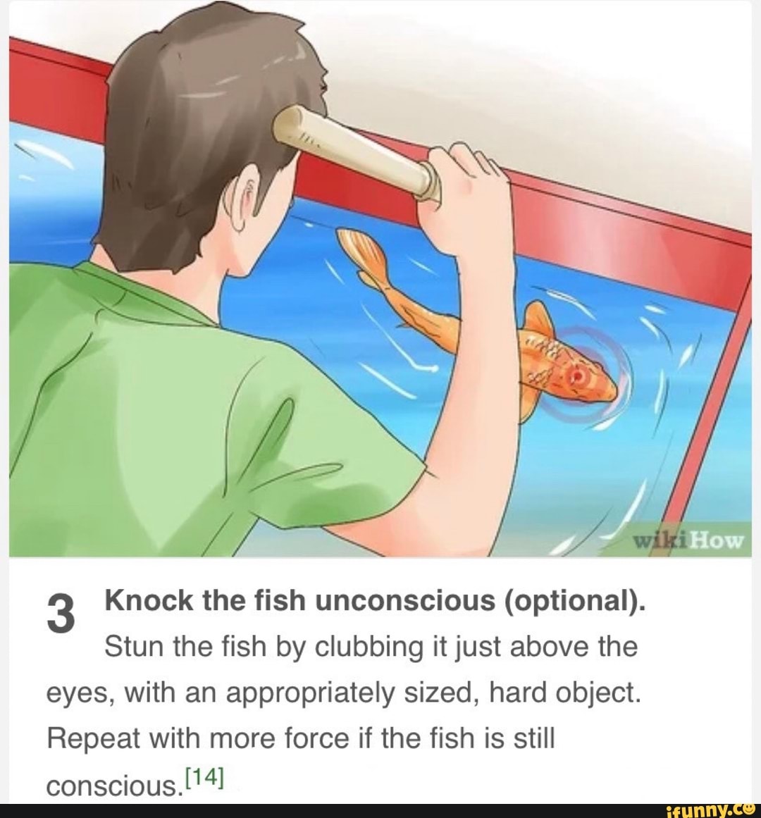 Knock the fish unconscious (optional). Stun the fish by clubbing it
