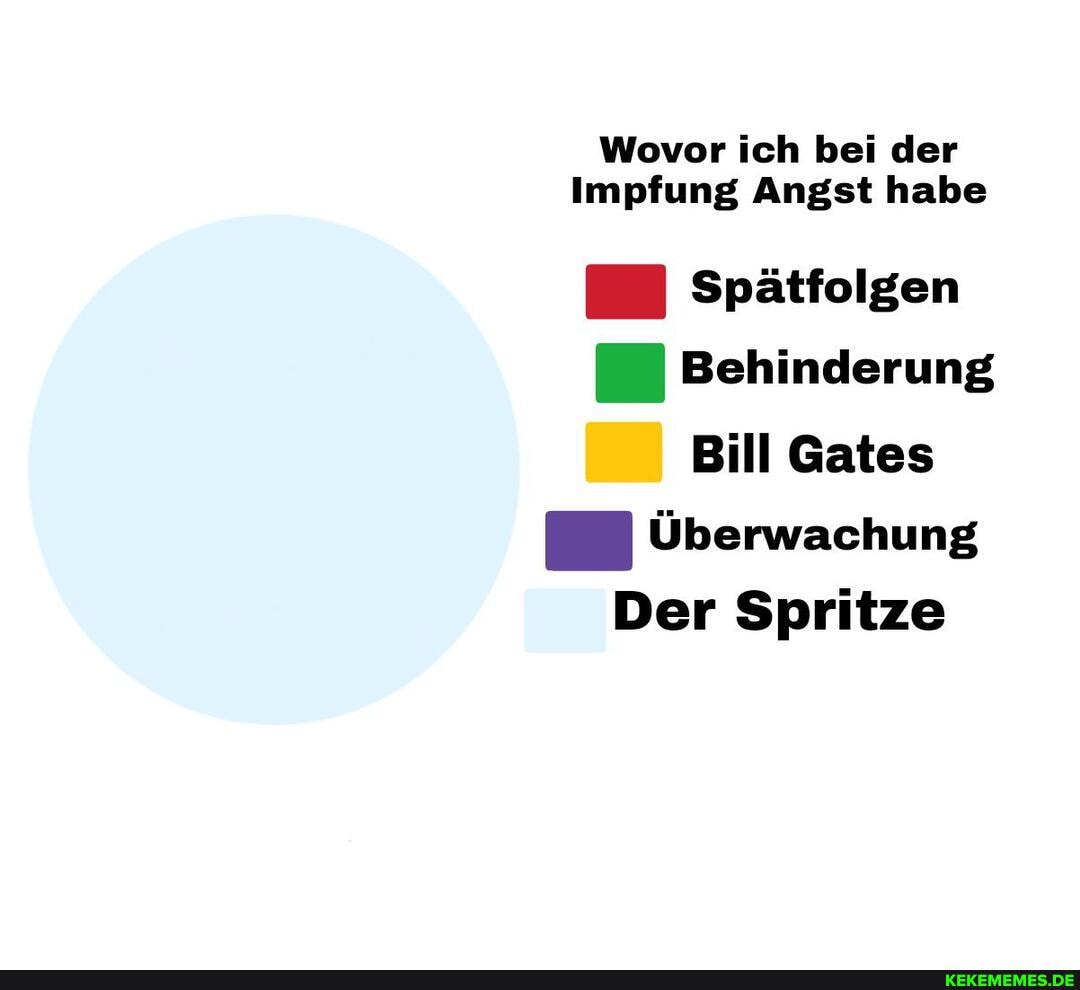 Wovor ich bei der
Impfung Angst habe
Spätfolgen
Behinderung
Bill Gates
Überwachung
Der Spritze