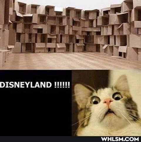 DISNEYLAND