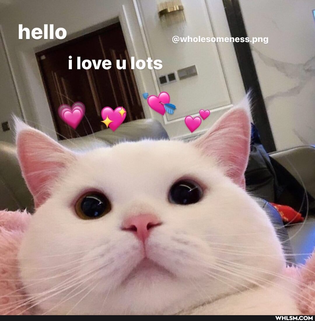 @wholesomeness.png
hello
love