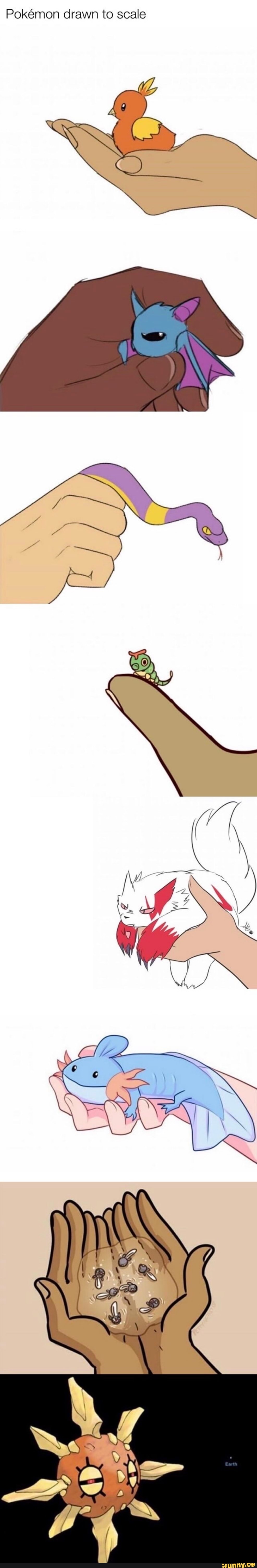Pokémon drawn to scale