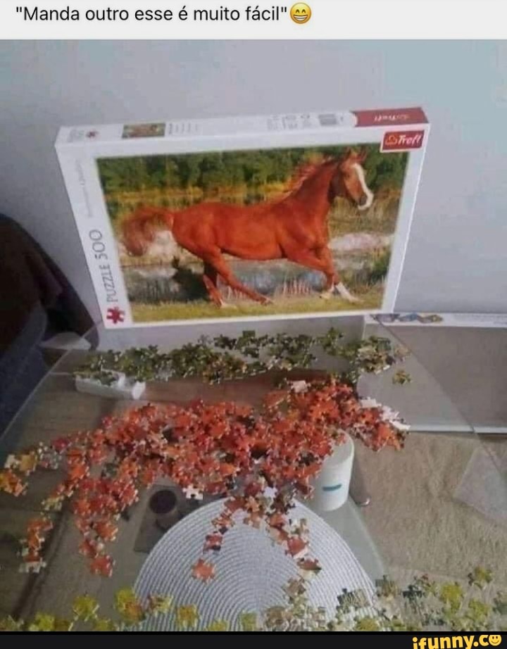 "Manda outro esse é muito fácil