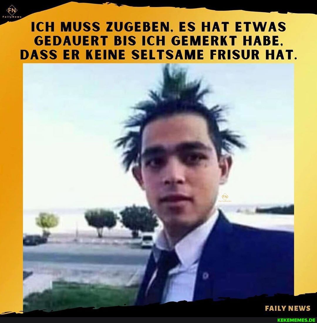ICH MUSS ZUGEBEN. ES HAT ETWAS I
GEDAUERT BIS ICH GEMERKT HABE.
DASS ER KEINE SELTSAME FRISUR HAT.
ERILY