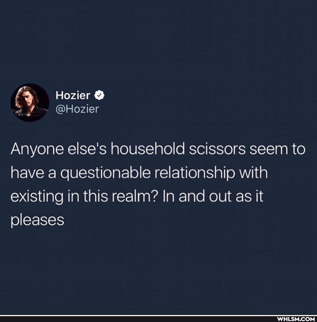 Hozier
@Hozier
Anyone else's household scissors seem to have a questionable relationship with existing in this realm? In and out as it pleases