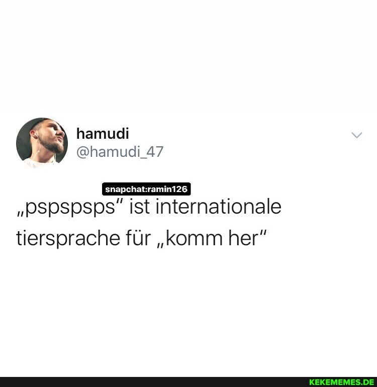 hamudi
@hamudi_47
snapchat ramn126
"pspspsps" ist internationale tiersprache für "komm her"
