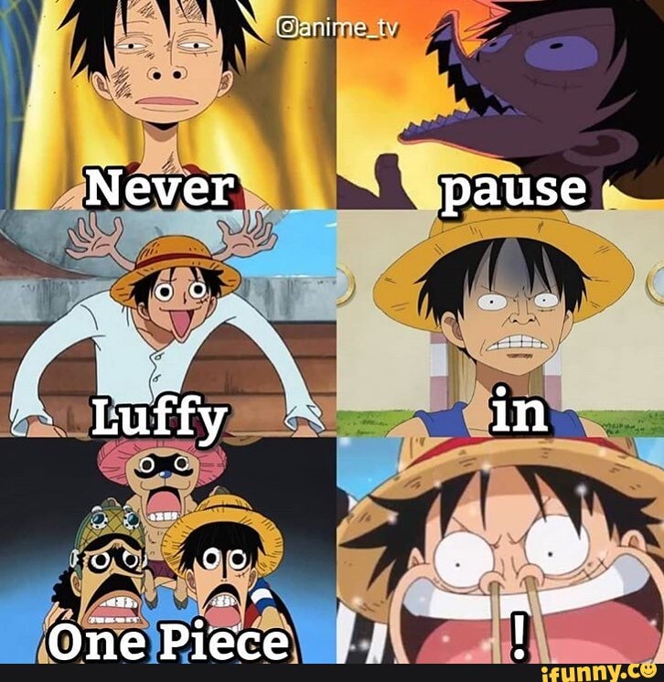 Never pause one piece : r/MemePiece