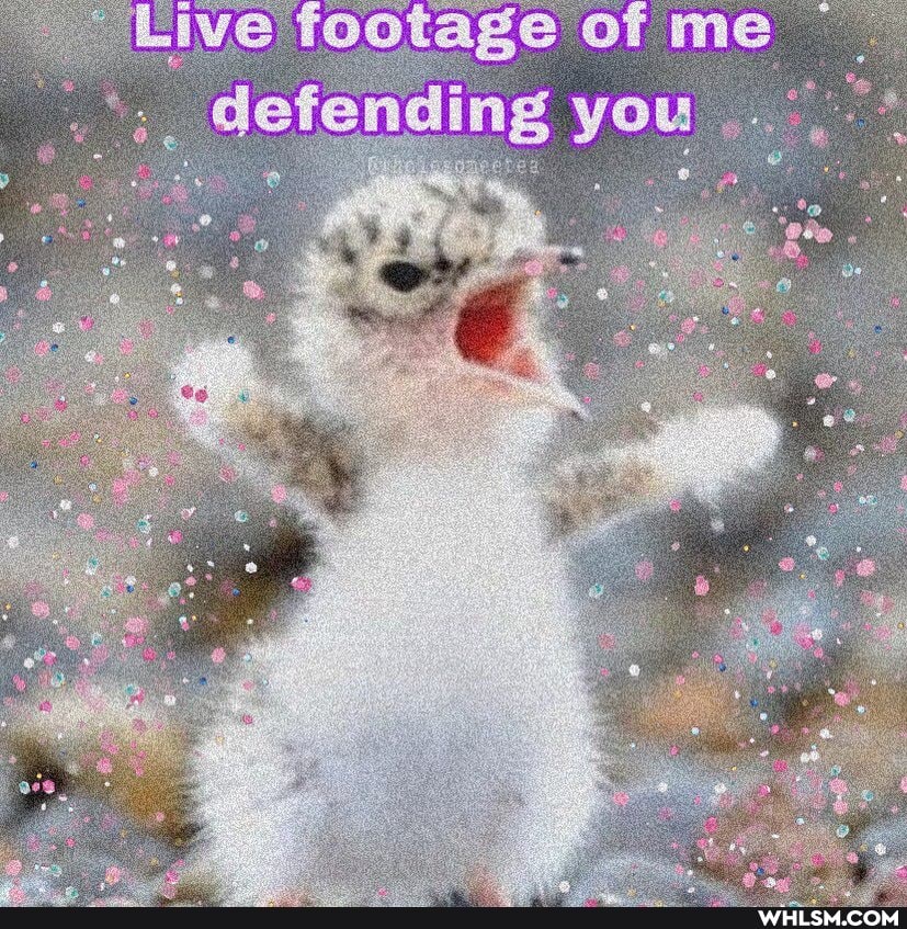 ""Live footage of me defending you
