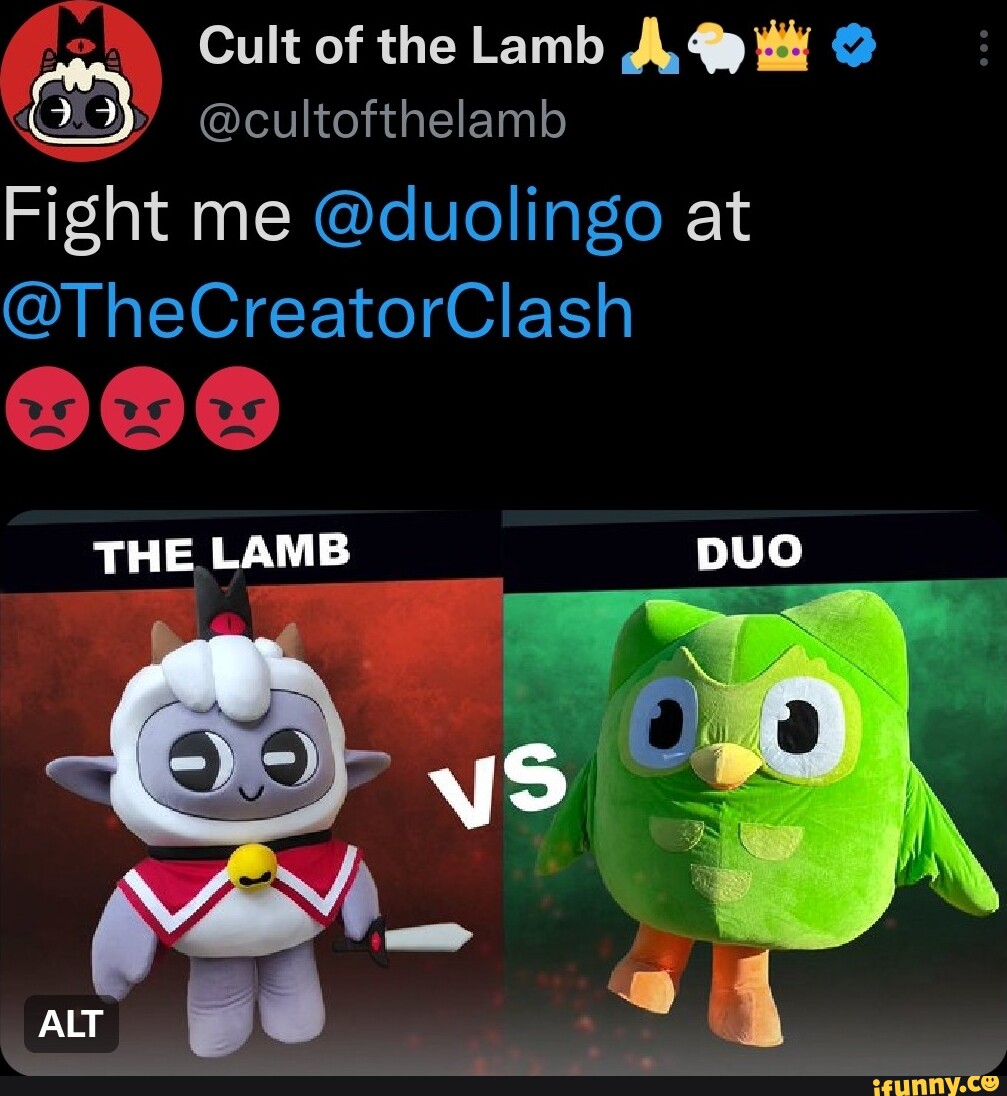 Cult of the Lamb on X: Fight me @duolingo at @TheCreatorClash 😡😡😡   / X