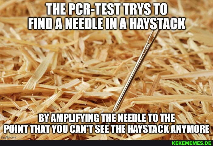 THE PCR-TEST TRYS TO FIND A NEEDLE IN A HAYSTACK
BY AMPLIFYING THE NEEDLE TO THE POINT THAT YOU SEE THE HAYSTACK ANYMORE