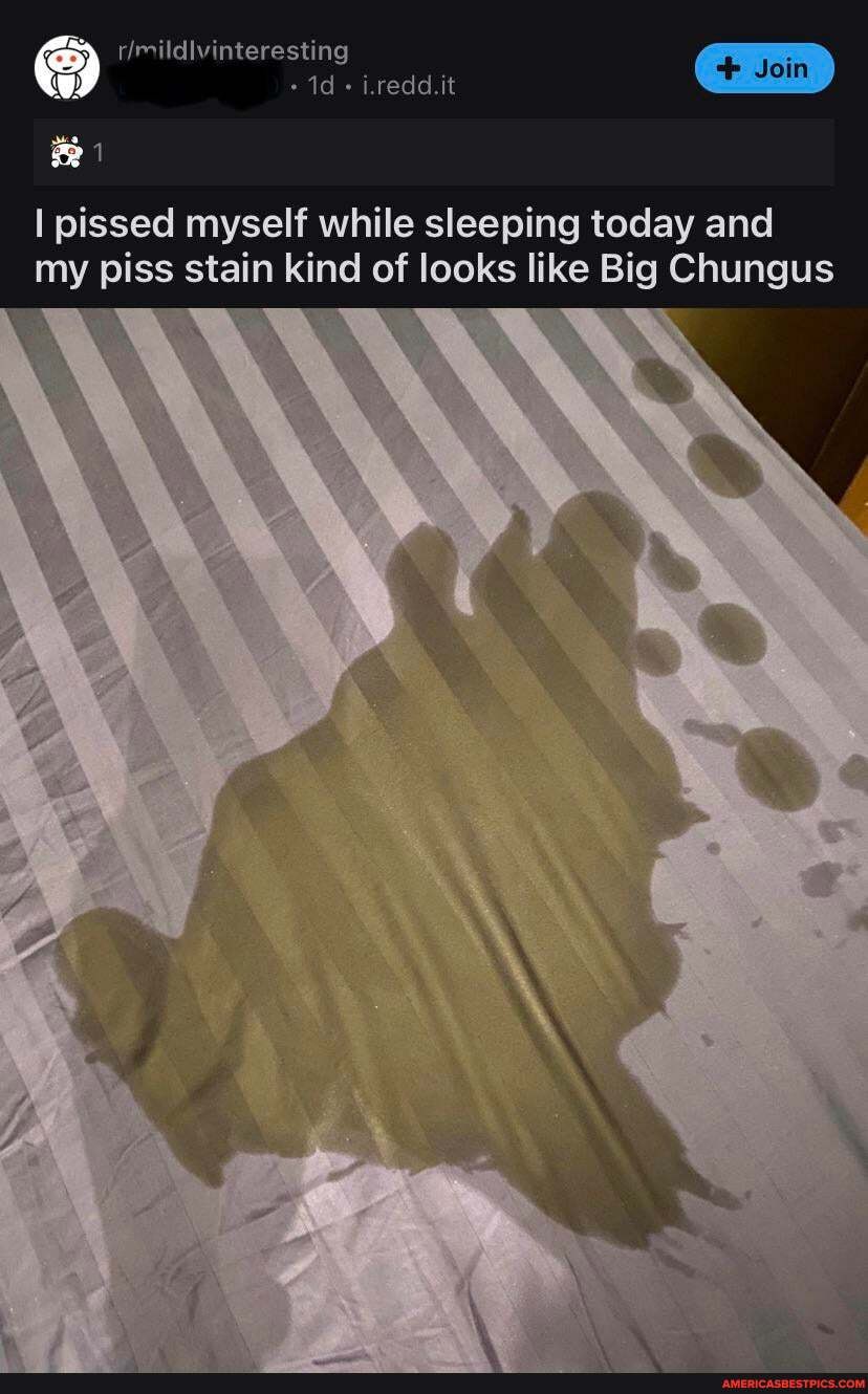 de-ildlvinteresting id iredd.it
I pissed myself while sleeping today and my piss stain kind of looks like Big Chungus