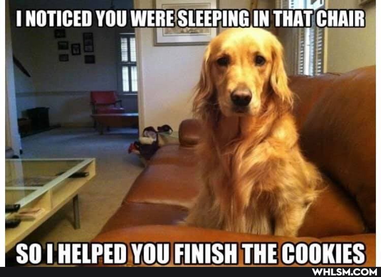 NOTICED YOU WERE SLEEPING IN THAT CHAIR,
LHE LLDER Vhll CINICH THE PONWIES