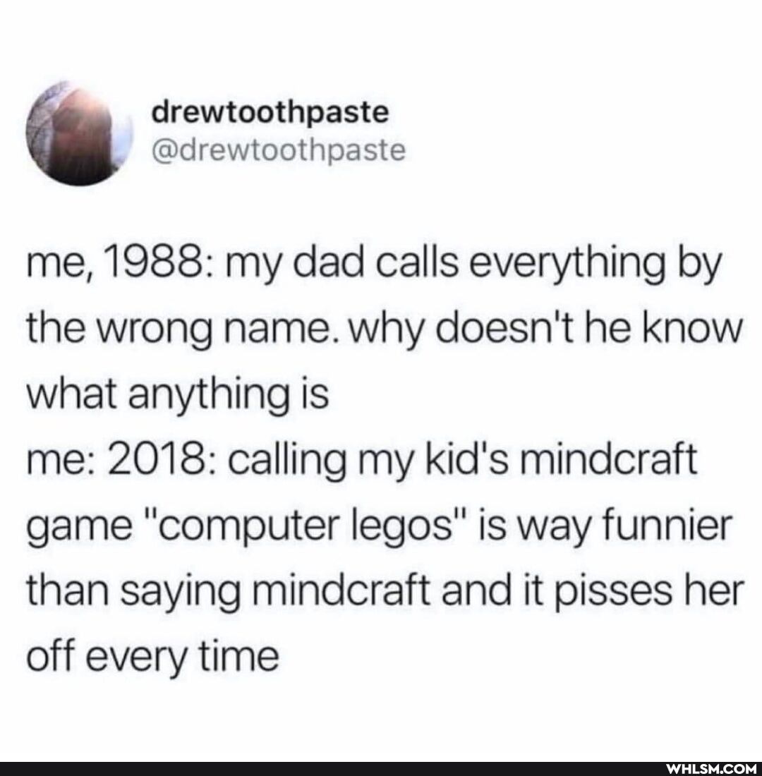 me, 1988: my dad calls everything by the wrong name. why doesn't he know what anything is
me: 2018: calling my kid's mindcraft game "computer legos" is way funnier than saying mindcraft and it pisses her off every time