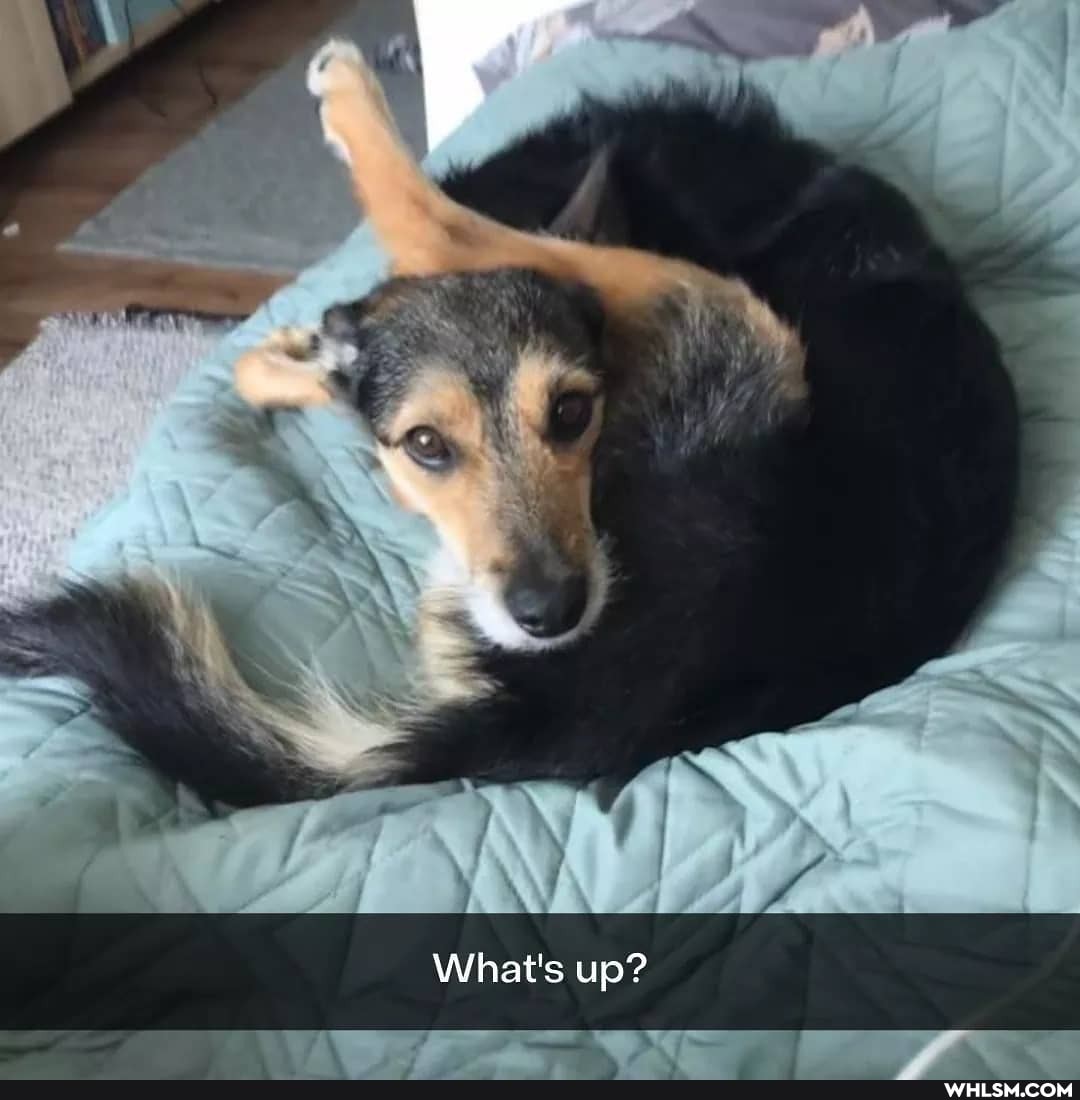 What's up?