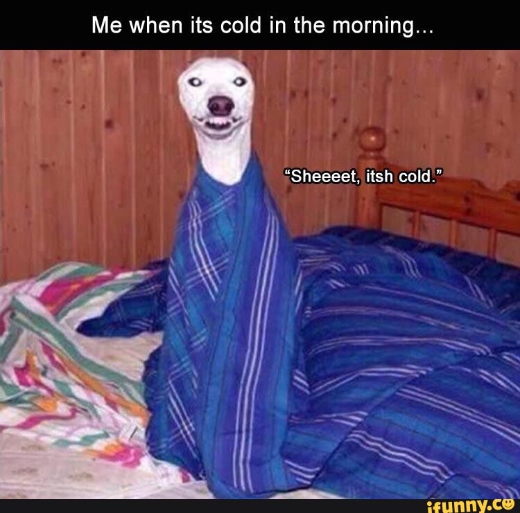 Me when its cold in the morning... =Sheeeet, itsh cold." iFunny
