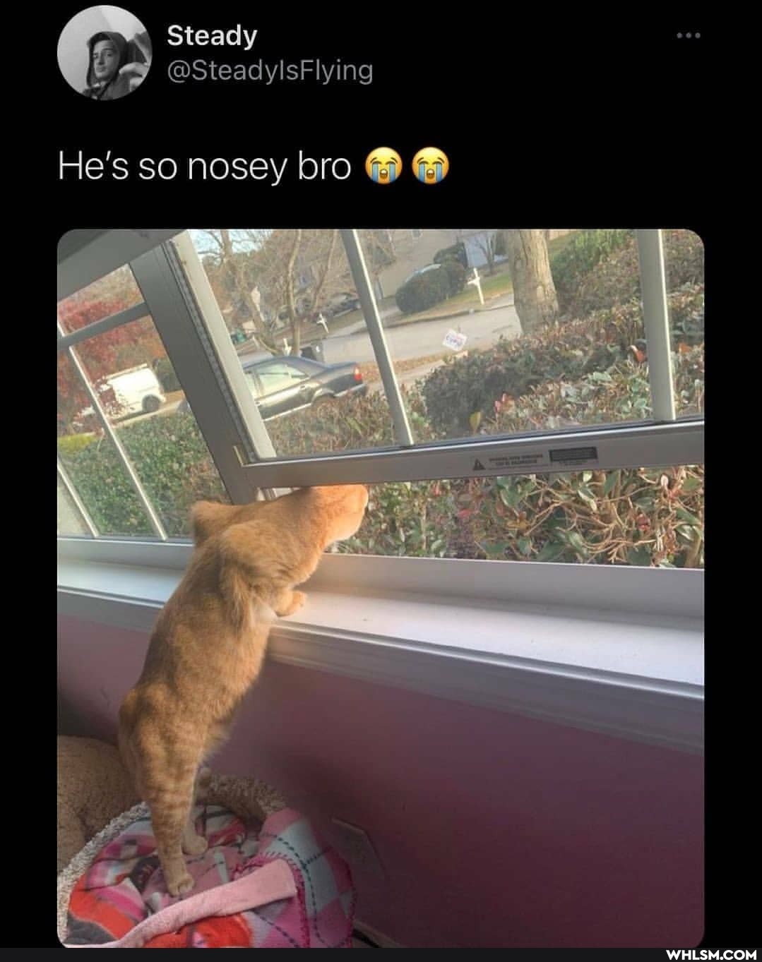 Steady
6 @SteadylsFlying
He's so nosey bro @ @