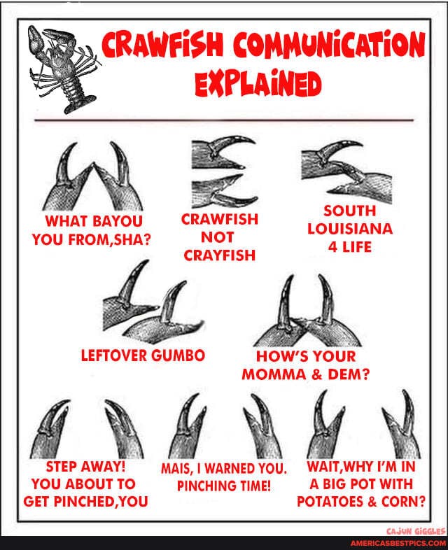 CRAWFISH COMMUNICATION EXPLAINED WHAT BAYOU CRAWFISH YOU FROM, NOT