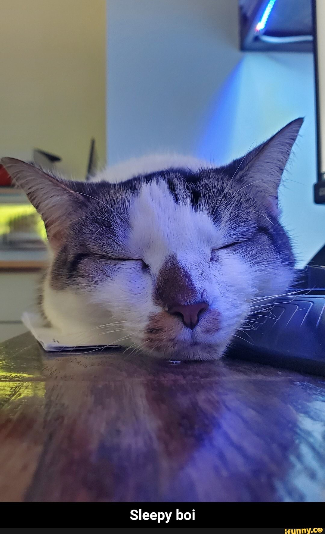 Sleepy boi - Sleepy boi