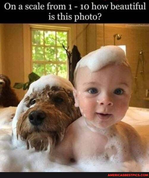 On a scale from 1 - 10 how beautiful is this photo?