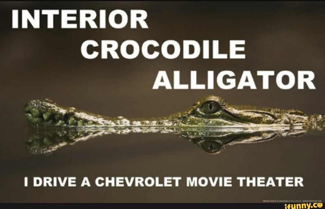 Interior Crocodile Alligator I Drive A Chevrolet Movie Theater Ifunny