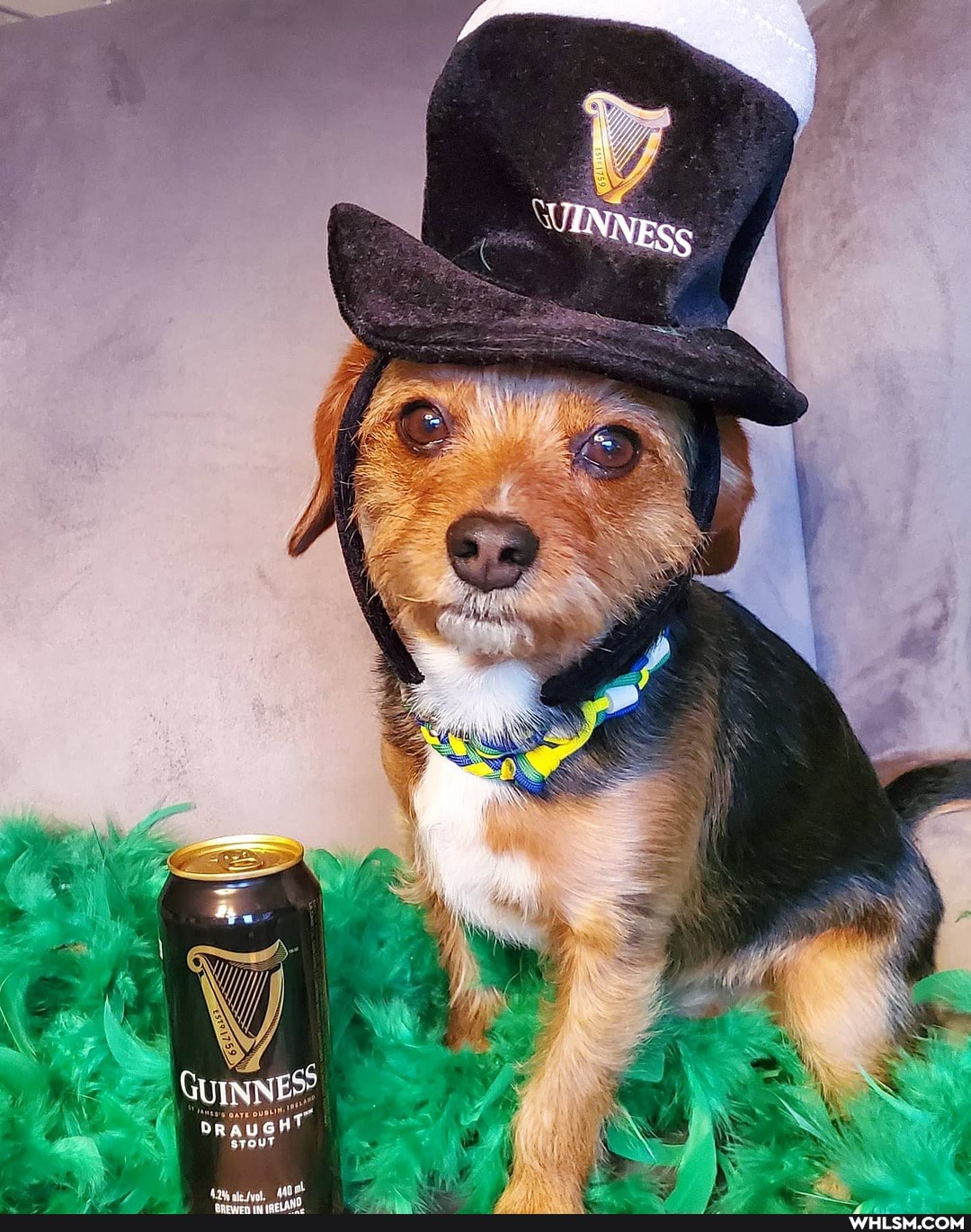 DRAUG sTouT
ES &
