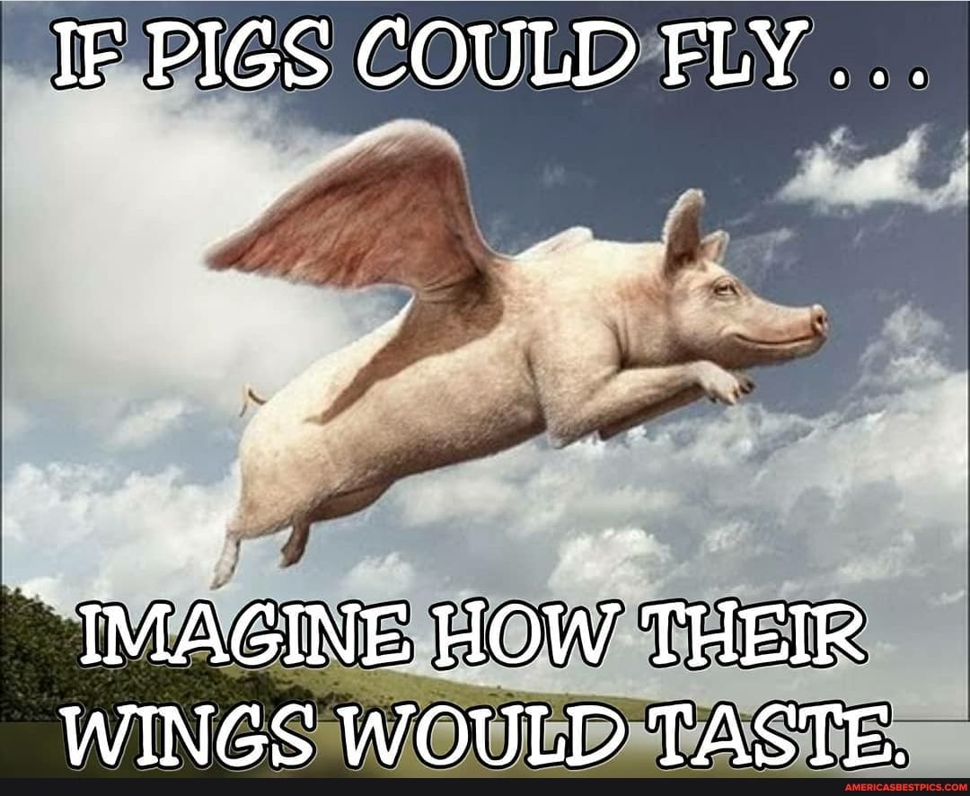 IF PIGS COULD FLY...
IMAGINE HOW THEIR WINGS WOULD TASTE.