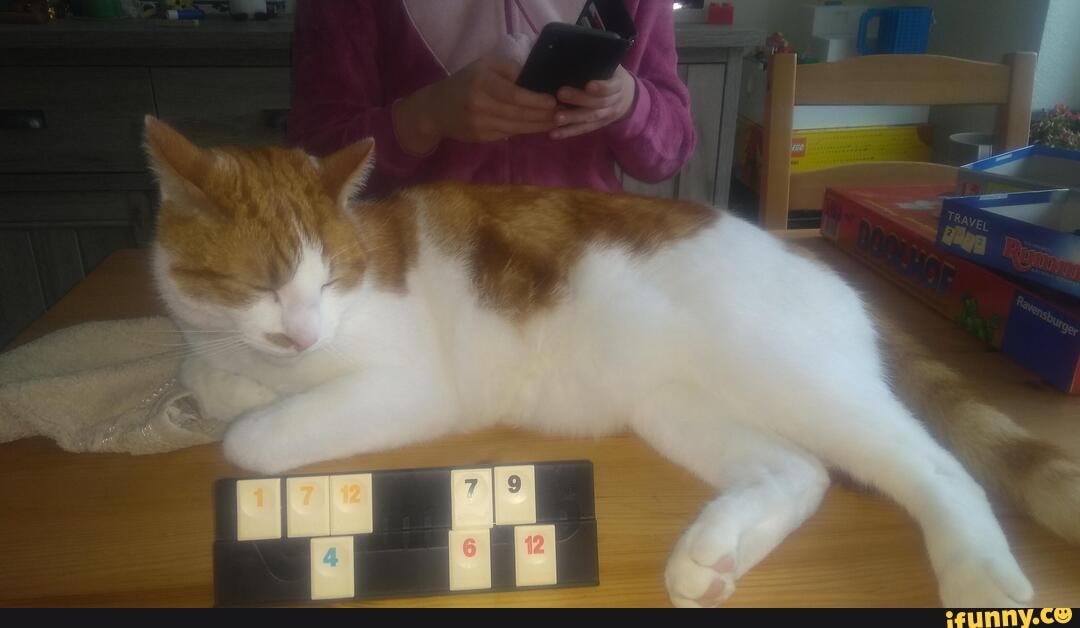 Rummikub memes. Best Collection of funny Rummikub pictures on iFunny
