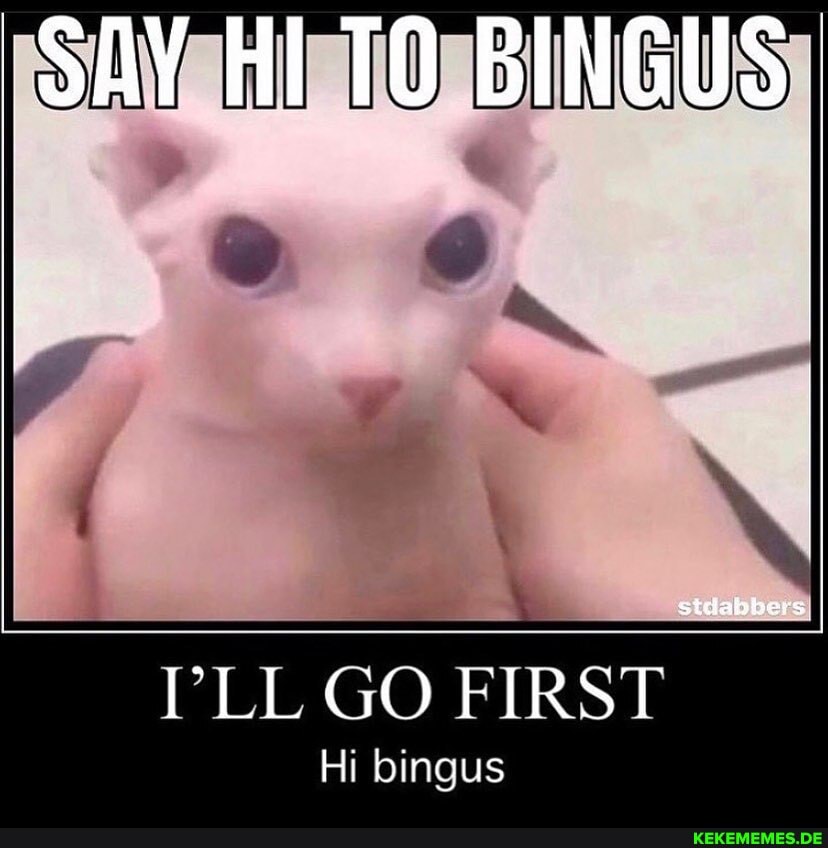 HI BINGUS
SAY
PLL GO FIRST
Hi binaus