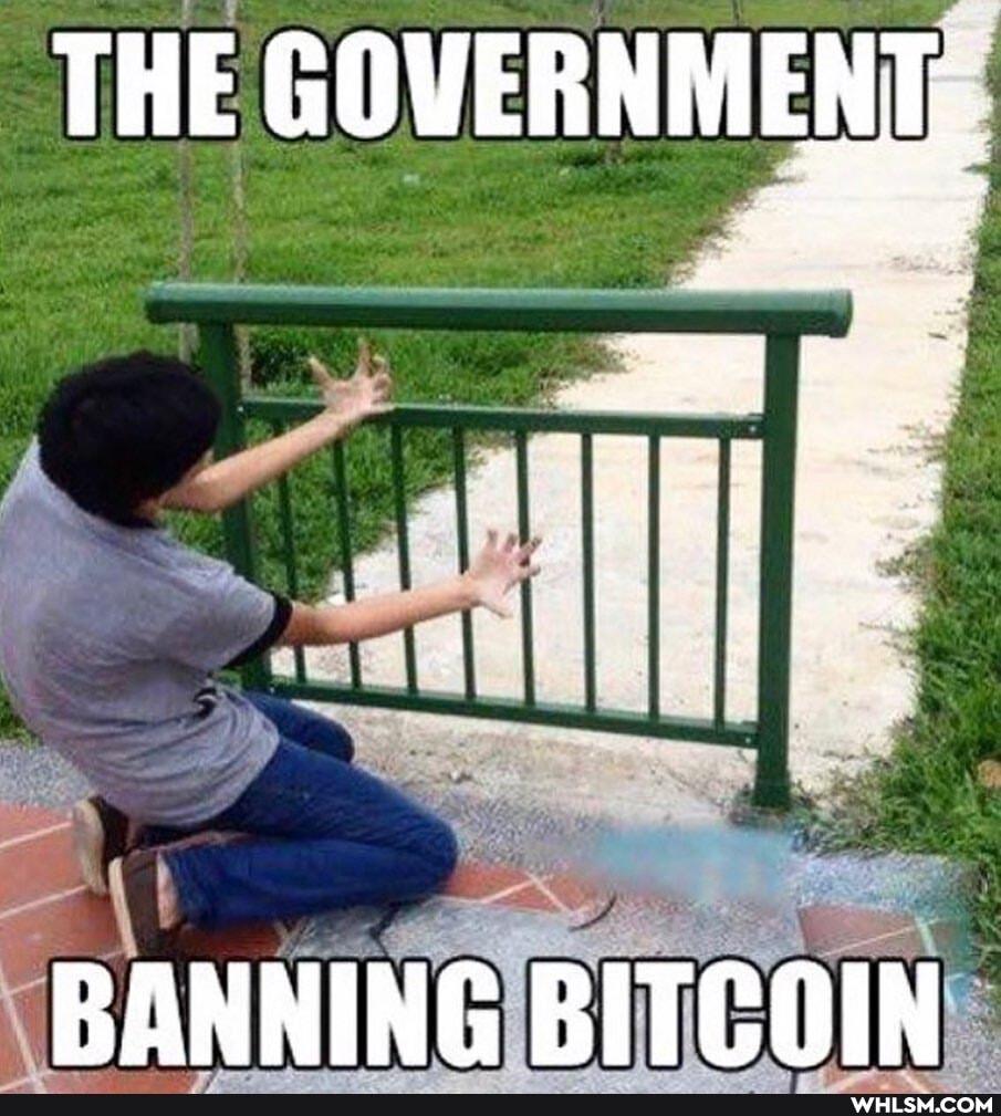 THE GOVERNMENT
BANNING BITCOIN