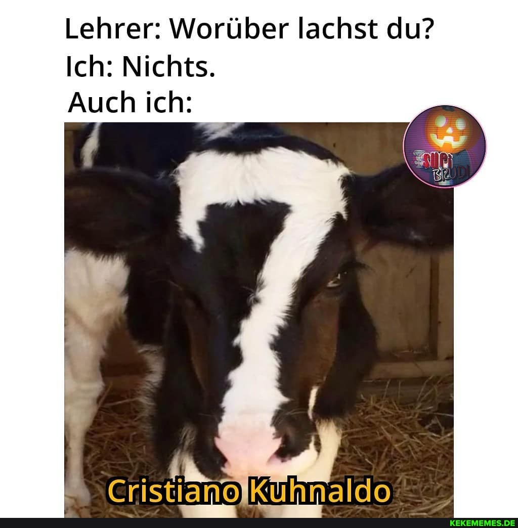 Lehrer: Worüber lachst du?
Ich: Nichts.
Auch ich: