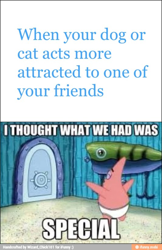 When your dog or
cat acts more
attracted to one
of
your friends
I THOUGHT WHAT/WE HAD IWAS