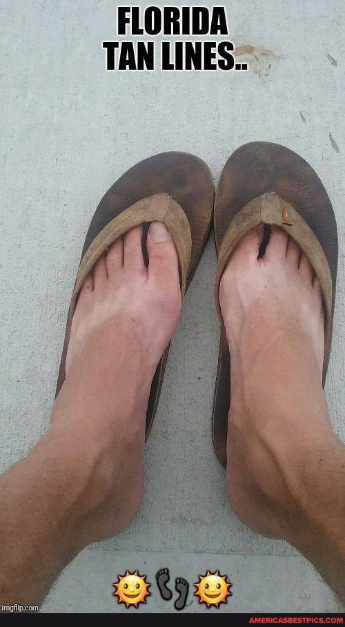 FLORIDA TAN LINES.