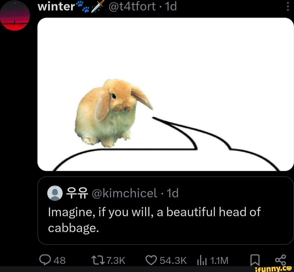 Winters t4tfort id (Q) kimchicel id Imagine, if you will, a