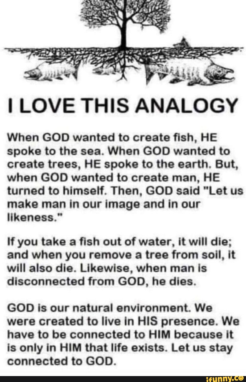 se-i-love-this-analogy-when-god-wanted-to-create-fish-he-spoke-to-the