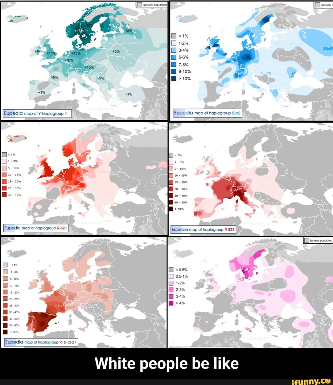 Haplogroup memes. Best Collection of funny Haplogroup pictures on iFunny