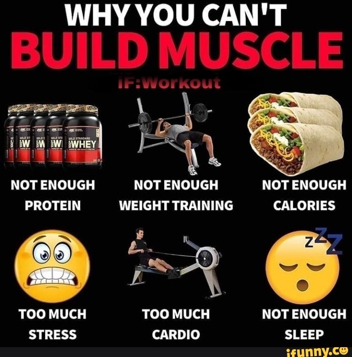 WHY YOU CAN'T BUILD MUSCLE NOT ENOUGH NOT ENOUGH NOT ENOUGH PROTEIN ...