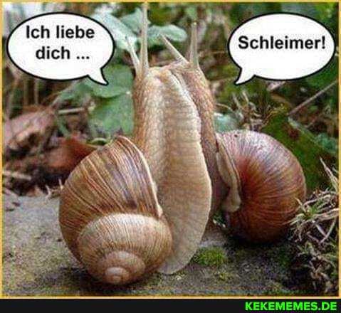 Ich liebe dich