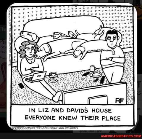 r I
IN LIZ AND DAVIDS HOUSE EVERYONE KNEW THEIR PLACE