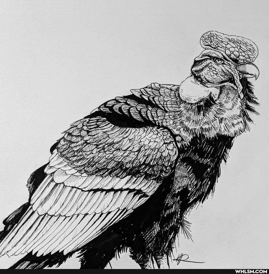 artcrawl, art, creativity, drawings