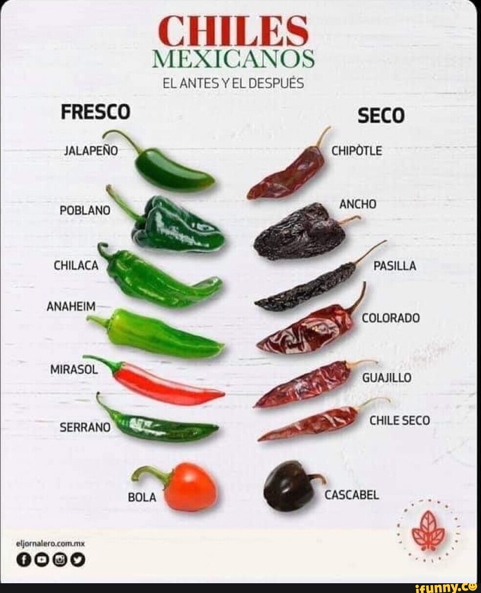 CHILES MEXICANOS EL ANTES Y EL DESPUES FRESCO SECO CHIPÓTLE JALAPENO