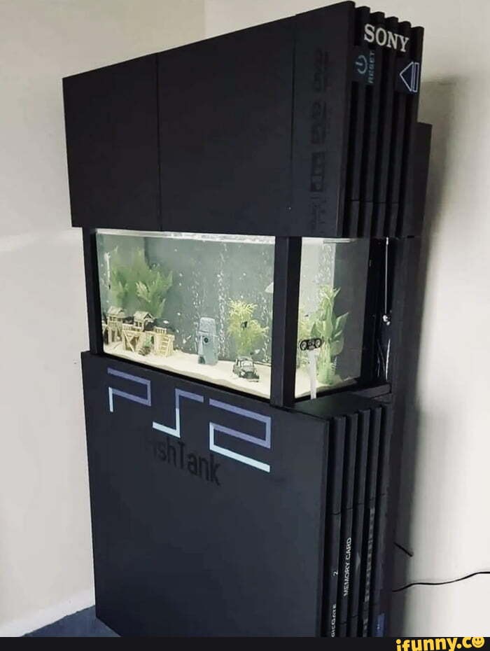 Fish_tank memes. Best Collection of funny Fish_tank pictures on iFunny