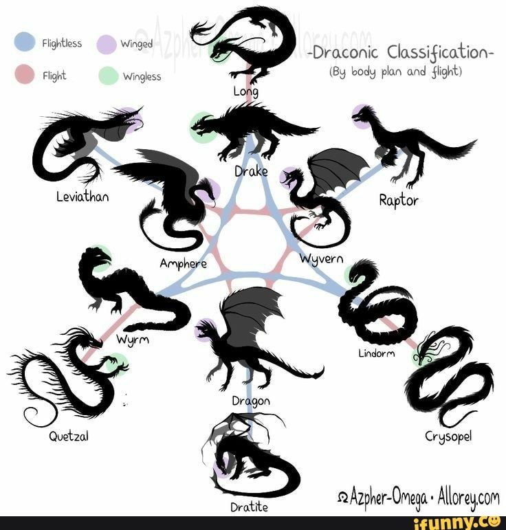 Flighth winged Draconic Classification (By body plan and flight