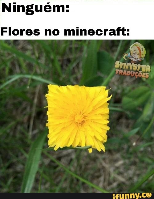 Ninguém:
Flores no minecraft: