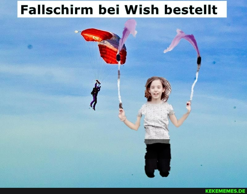 Fallschirm bei Wish bestellt