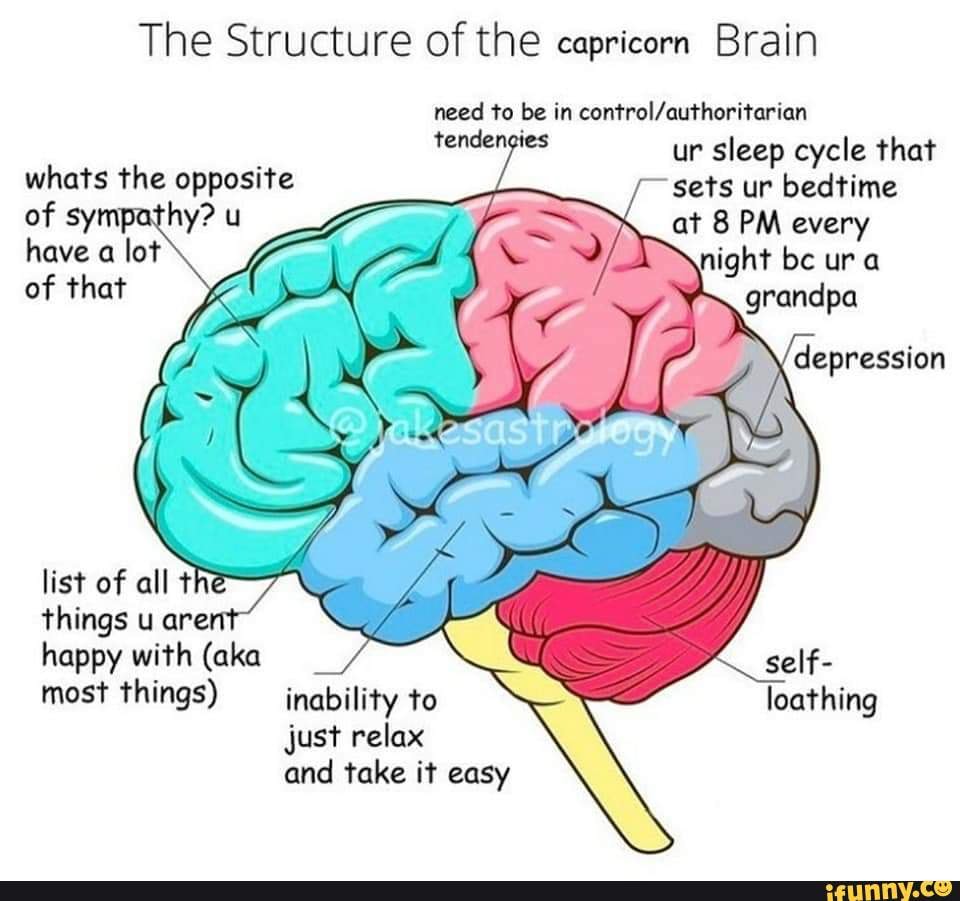 Don't put ads here - The Structure of the capricorn Brain need to be in ...