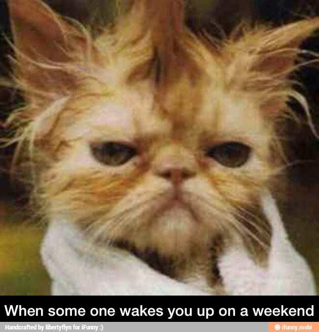 n some one wakes you up on a weekend - When some one wakes you up on a weekend